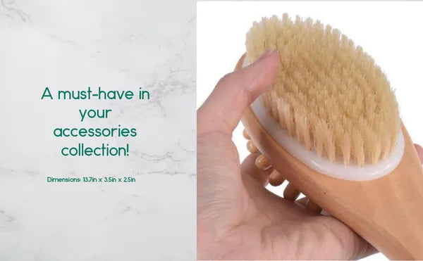 Natural Boar Bristle Wooden Bath and Body Massage Brush with Long Handle - Eco-Friendly Exfoliating Back Scrubber for Shower, Wet or Dry Brushing Wellness Skin Care